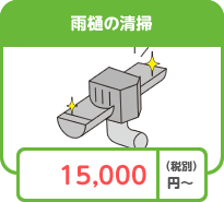雨樋の清掃